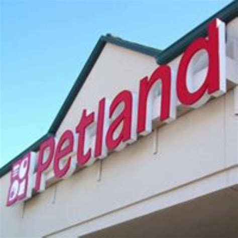Petland tyler tx - PETLAND TYLER . 4512 S Broadway Ave a1, Tyler, TX 75703 (903)-949-6025 . Monday - Friday 12:00 pm - 9:00 pm